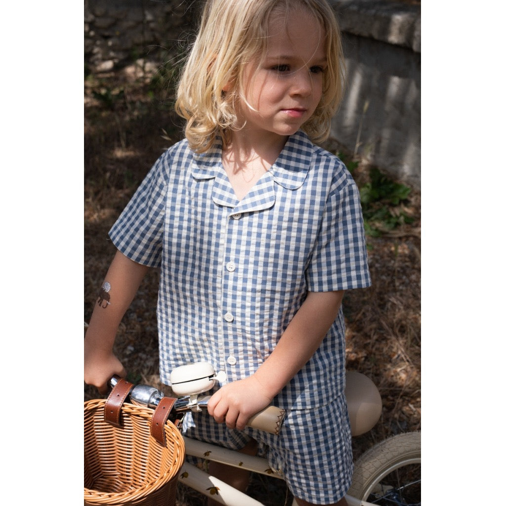 Camicia - Blue check