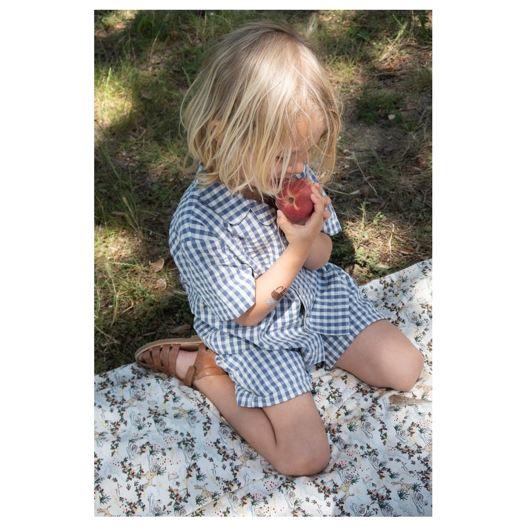 Camicia - Blue check