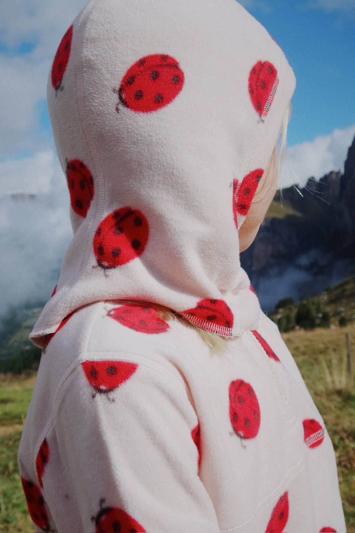 Balaclava Ladybug